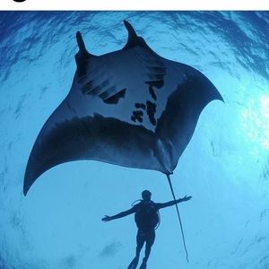 Meet your Posher, Gary